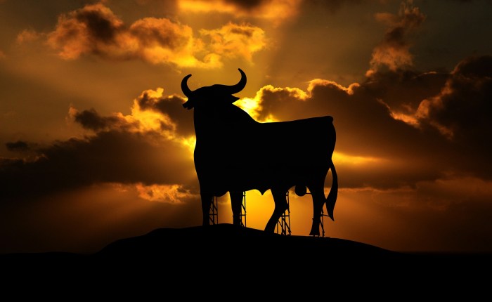 02.08.17 DIG YOUR HEELS&nbsp;IN