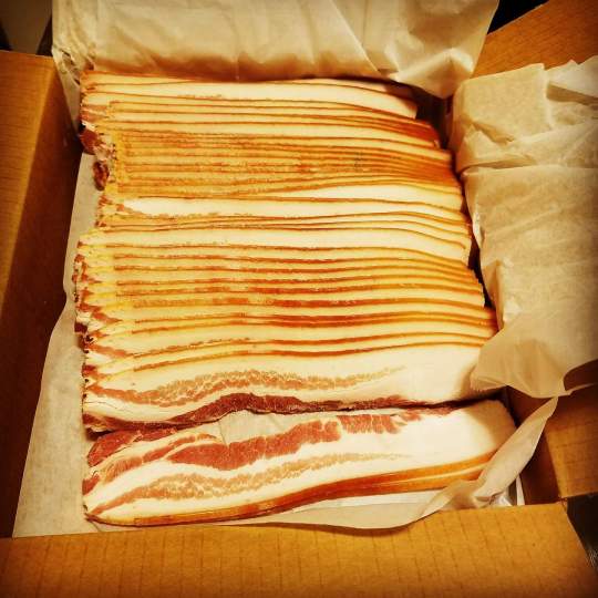 FB_IMG_1492618825821