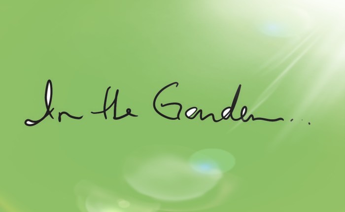 A Moment in the&nbsp;Garden