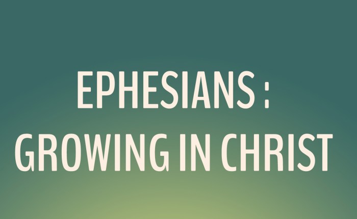 NEW WORKBOOK AVAILABLE