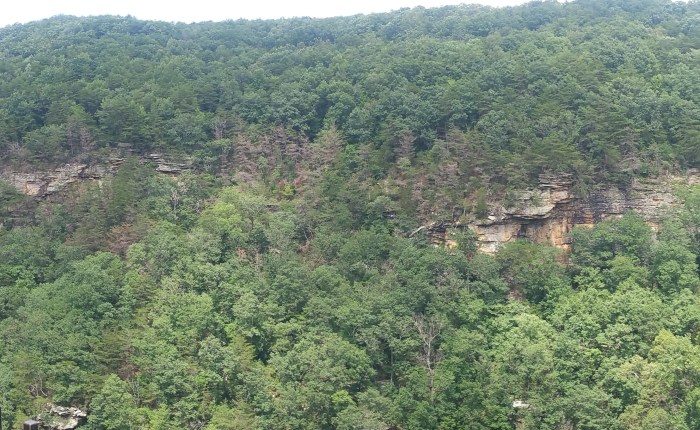 Top of the&nbsp;Mountain